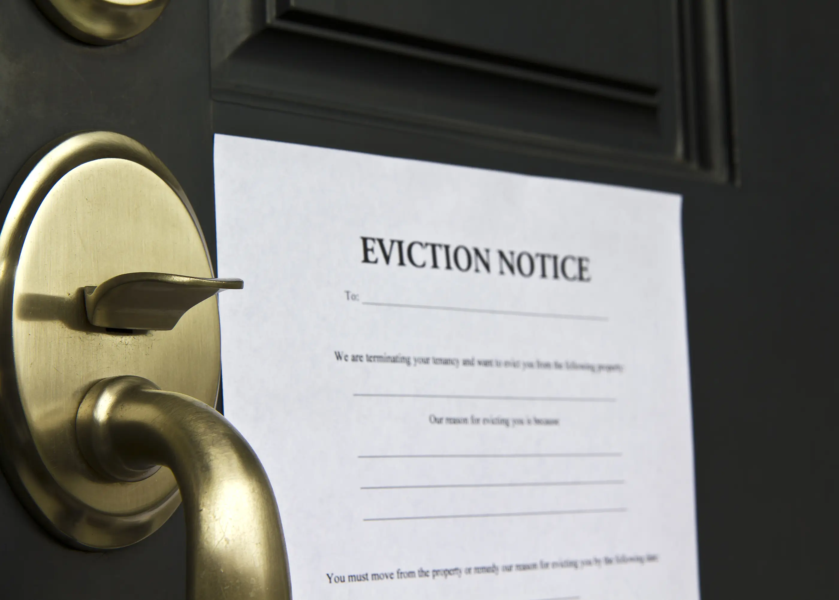 Chicago Foreclosed Properties